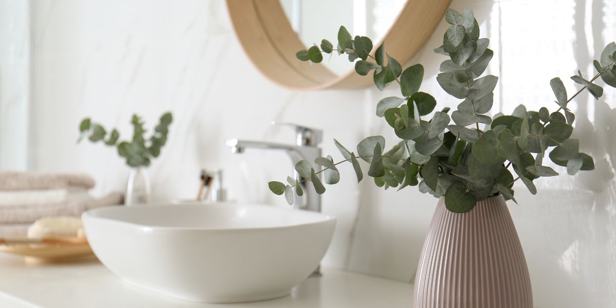 clean lively bathroom plants white tile