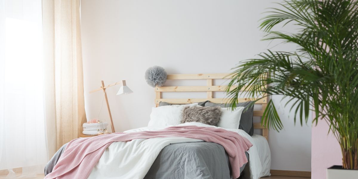 light bright bedroom wood frame parlor palms