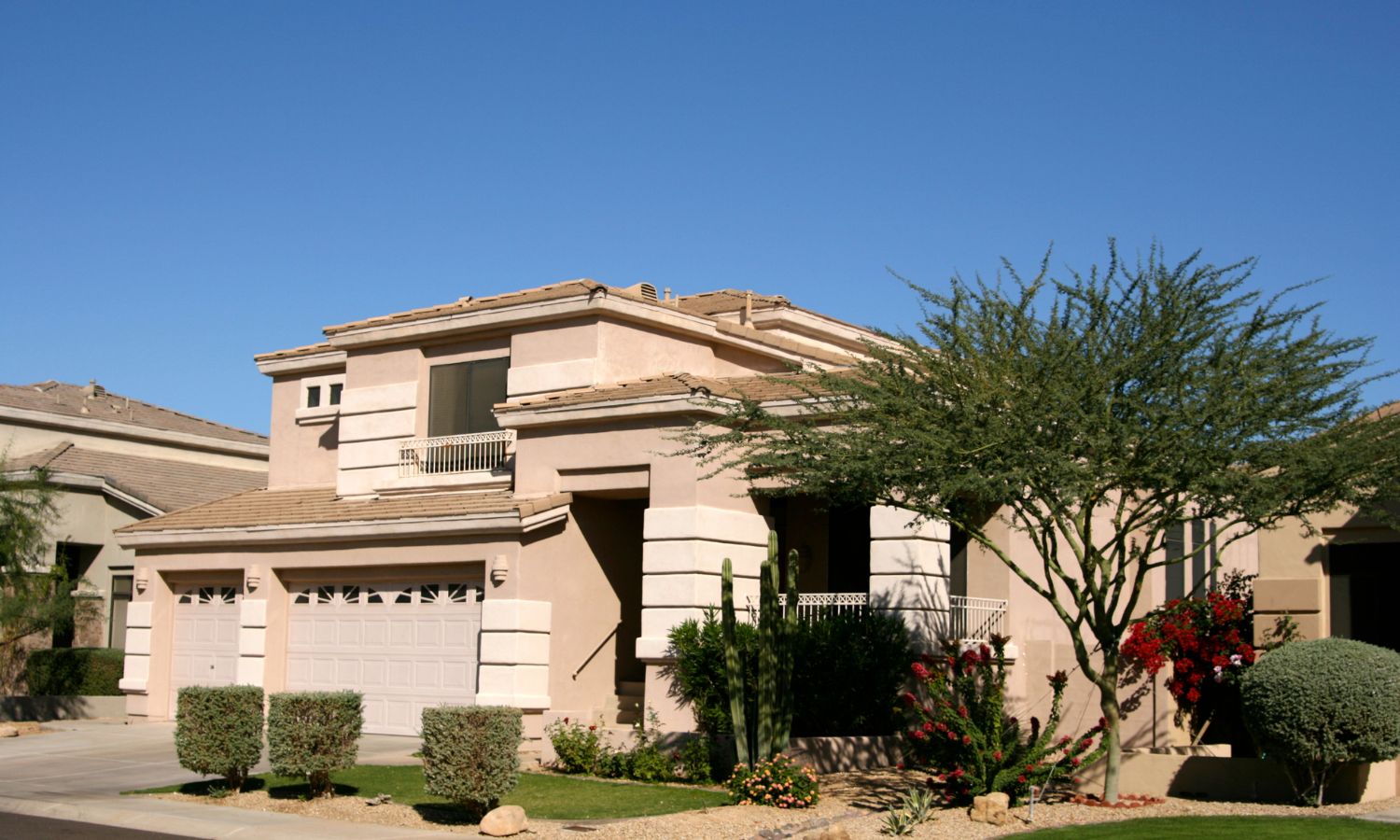 Modern stucco house with desert landscaping, featuring a cactus, flowering bushes, and a tree in the front yard showing great curb appeal